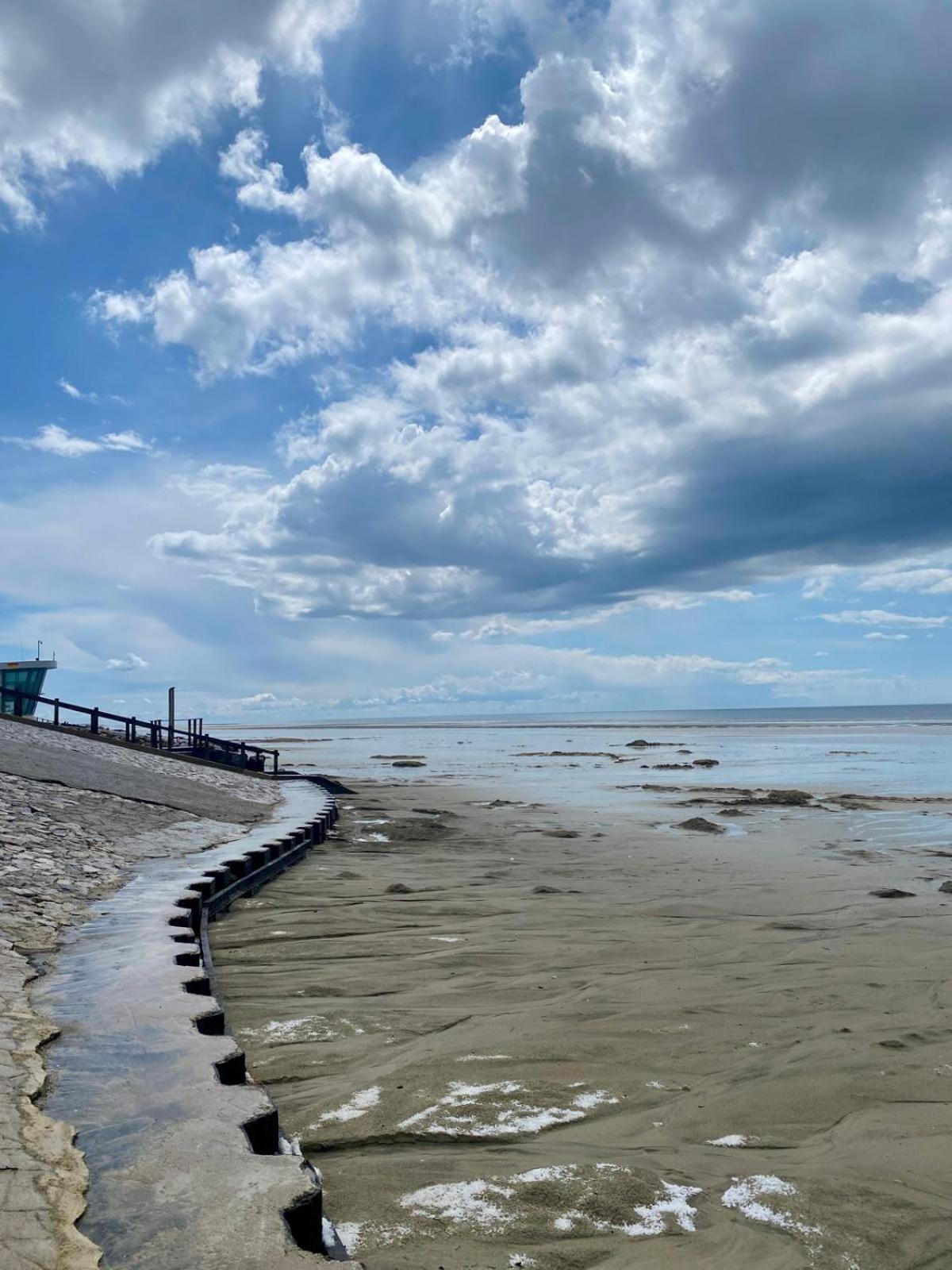 L Oree De La Pinede Hardelot Plage A 800 Metres De La Mer Sous Les Pins Zewnętrze zdjęcie