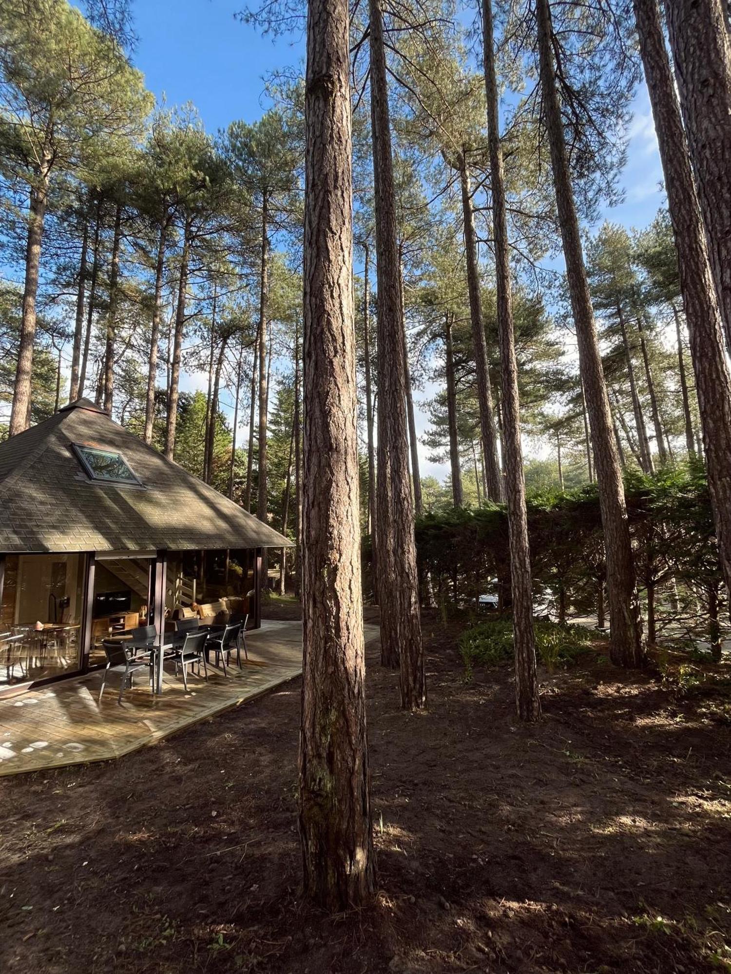 L Oree De La Pinede Hardelot Plage A 800 Metres De La Mer Sous Les Pins Zewnętrze zdjęcie