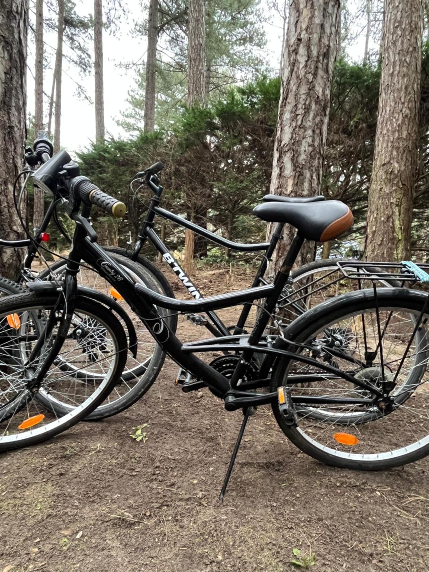 L Oree De La Pinede Hardelot Plage A 800 Metres De La Mer Sous Les Pins Zewnętrze zdjęcie
